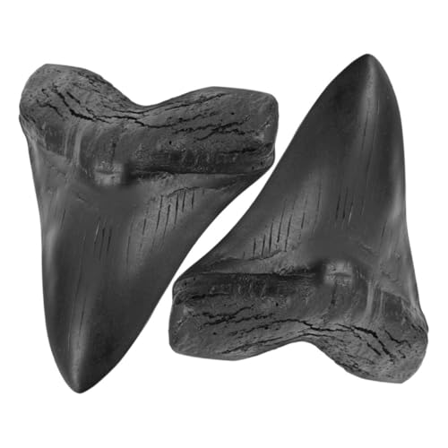 BESTYASH 2 Stück Megalodon Nachbildung Resin Versteinerung Dekoration Prähistorisch Realistische Haustisch Deko Geschenk für Geschichte Liebhaber und Sammler BESTYASH 2 Stück Megalodon Nachbildung Resin Versteinerung Dekoration Prähistorisch Realistische Haustisch Deko Geschenk für Geschichte Liebhaber und Sammler von BESTYASH