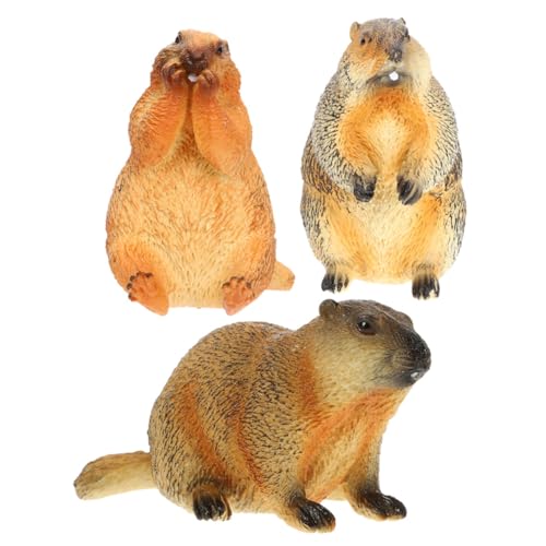 BESTYASH 3 Stück Teiliges Modell Realistische Wildtier Figuren Edukatives Kognitives Tierfigur Dekoration für Kinderzimmer und Klassenzimmer von BESTYASH