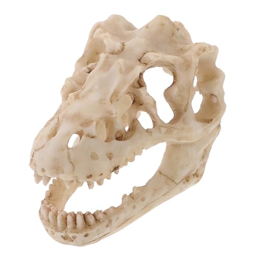 BESTYASH Dinosaurier Schädel Modell Aus Kunstharz Simuliertes Tier Skelett Für Lehrzwecke Dekoratives Ornament Für Aquarien Terrarien Kleiner Schädel von BESTYASH