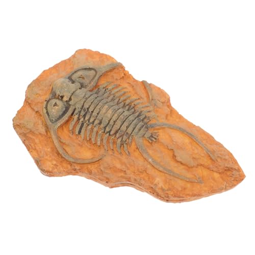 BESTYASH Paleontologisches Insektenexemplar aus Resin Dekoratives Leichtes Sammlerstück Geeignet für Unterricht Sammlung und Wissenschaftliche Präsentation von BESTYASH