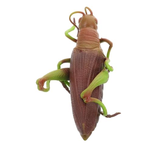 BESTYASH Realistisches Heuschrecken Modell aus Weichem Realistische Insektenfigur für Pädagogisches Insekten Lebensnahe Tierfigur für Lernen und Dekoration BESTYASH Realistisches Heuschrecken Modell aus Weichem Realistische Insektenfigur für Pädagogisches Insekten Lebensnahe Tierfigur für Lernen und Dekoration von BESTYASH