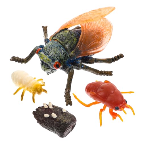 BESTYASH Realistisches Zikaden wachstumszyklus Modell Pädagogisches Insekten Naturgetreue Simulation Lebenszyklus Lehrreiches Lernspielzeug für Frühe Bildung Dekoratives Naturmodell von BESTYASH