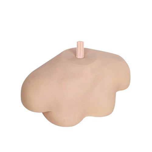 BESTYASH Schultermodell mit Universalem Ständer Pvc material Glatte Oberfläche Praktisches Übungsmodell für Friseure Kosmetologie schüler Schönheitssalons und Medizinische Ausbildung von BESTYASH