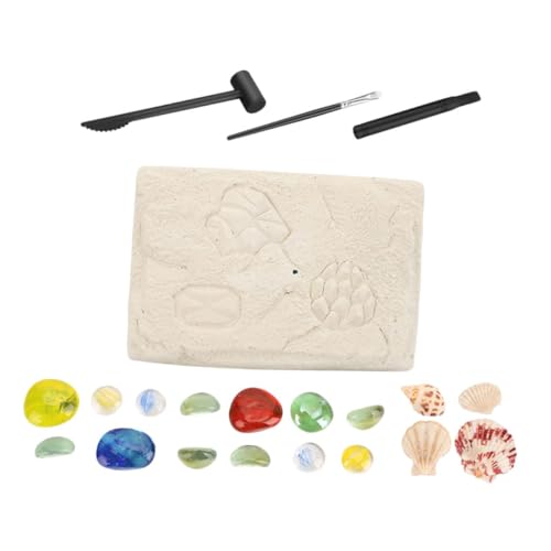 1 Set Archäologisches Kinderspielzeug Für Kleinkinder Mini Meerestier Wissenschaftliches Lehrspielzeug Kinderspielzeug Für Pädagogisches Aus Gips BESTonZON von BESTonZON