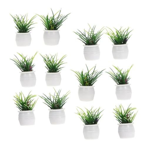 12st Kleine Topfpflanzenornamente Blumen Puppe Fälschung Eukalyptus Künstlich Anlage Miniatur Modell Fee Simulationsbonsai Kleiner Bonsai Mini-topfpflanze Harz BESTonZON 12st Kleine Topfpflanzenornamente Blumen Puppe Fälschung Eukalyptus Künstlich Anlage Miniatur Modell Fee Simulationsbonsai Kleiner Bonsai Mini-topfpflanze Harz BESTonZON von BESTonZON