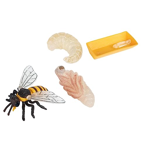 1Satz Teiliges Bienenwachstumszyklus Modellspielzeug für Pädagogisches Insektenspielzeug Kreativität und Biologischem Sicher aus Gefertigt 1Satz Teiliges Bienenwachstumszyklus Modellspielzeug für Pädagogisches Insektenspielzeug Kreativität und Biologischem Sicher aus Gefertigt von BESTonZON