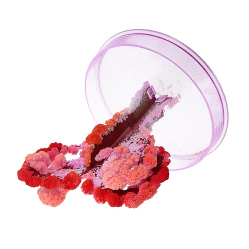 BESTonZON 1 Satz Baumblütenspielzeug Aus Papier Papierbaumspielzeug Pädagogisches Bastelset Basteln Für DIY Wissenschaftsspielzeug Partybaumspielzeug Wachsendes Baumpapier Flüssigkeit von BESTonZON