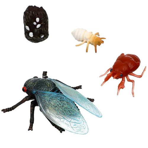 BESTonZON 1 Satz Cicada Lebenszyklus Figuren Pädagogisches Insektenmodell für Realistische Simulation für Vorschulaktivitäten Vielseitig Einsetzbar als Lernmittel oder Partygeschenk BESTonZON 1 Satz Cicada Lebenszyklus Figuren Pädagogisches Insektenmodell für Realistische Simulation für Vorschulaktivitäten Vielseitig Einsetzbar als Lernmittel oder Partygeschenk von BESTonZON
