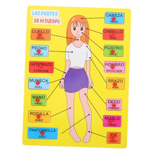 BESTonZON 1 Satz Educational Holzpuzzle für Körperteile Erkennen und Zuordnen Montessori Lernspielzeug für Vorschulkinder und Mädchen für Kindergarten und Zuhause von BESTonZON