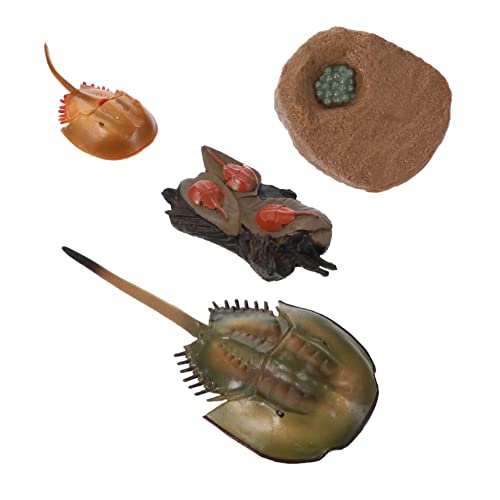 BESTonZON 1 Satz Kognitives Modell des Lebens Tierfiguren kindergeburtstags mitgebsel zabawki stymulujące rozwój Kreaturen Modell Pfeilschwanzkrebsfigur basteln Plastik BESTonZON 1 Satz Kognitives Modell des Lebens Tierfiguren kindergeburtstags mitgebsel zabawki stymulujące rozwój Kreaturen Modell Pfeilschwanzkrebsfigur basteln Plastik von BESTonZON