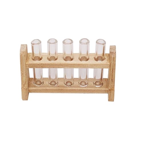 BESTonZON 1 Satz Modell Reagenzglasgestell bastel Set für für kinderspielzeug Mini-Reagenzglasgestell Reagenzglasvase Miniaturschmuck Mini-Reagenzglas-Modell Holz von BESTonZON