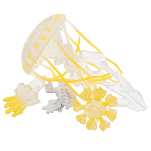 BESTonZON 1 Satz Quallen-Ornamente Lebenszyklus-lernspielzeug Lebenszyklusspielzeug Für Die Vorschule Modellbausätze Für Kinderspielzeug Vorschulspiele Lebenszyklus Plastik von BESTonZON