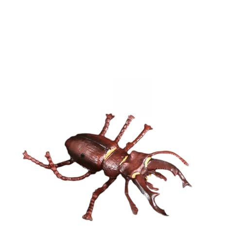 BESTonZON 1satz Simulation Tiermodell Für Junge Mädchen Realistische Tier-Evolution Und Lebenszyklus-Modelle Lernspielzeug Für Vorschule Und Wissenschaftsprojekte -Dekorationen BESTonZON 1satz Simulation Tiermodell Für Junge Mädchen Realistische Tier-Evolution Und Lebenszyklus-Modelle Lernspielzeug Für Vorschule Und Wissenschaftsprojekte -Dekorationen von BESTonZON