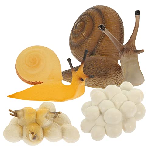 BESTonZON 1 Satz Wachstumszyklus Der Schnecke Figur Simuliertes Schneckenspielzeug Tiere Muscheln Schneckenornament Miniatur-wachstumsmodell Für Schnecken Lebenszyklus PVC BESTonZON 1 Satz Wachstumszyklus Der Schnecke Figur Simuliertes Schneckenspielzeug Tiere Muscheln Schneckenornament Miniatur-wachstumsmodell Für Schnecken Lebenszyklus PVC von BESTonZON