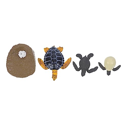 BESTonZON 1 Satz tierischer Wachstumszyklus schildkröte für Interessantes kognitives mockin Simulationstiermodell für den Lebenszyklus von Tieren Plastik BESTonZON 1 Satz tierischer Wachstumszyklus schildkröte für Interessantes kognitives mockin Simulationstiermodell für den Lebenszyklus von Tieren Plastik von BESTonZON
