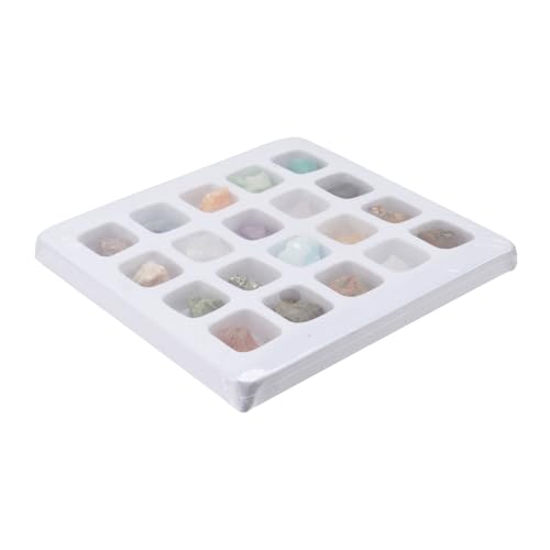 BESTonZON 1 Schachtel Mineralproben Set für Verschiedene Gesteins und Mineralienproben für Interaktives Lernen und Kreative Lernspielzeug für Drinnen und Draußen von BESTonZON