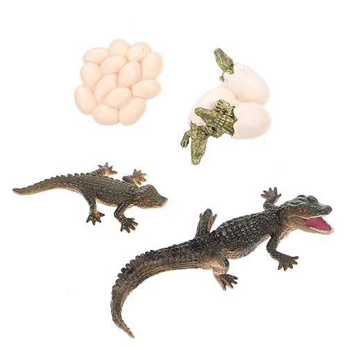 BESTonZON 1 Set Wachstumszyklusmodell Tiermodelle Wachstumszyklusfigur Eines Realistischen Lebenszyklusmodells Wachstumszyklusfigur Lebenszyklusfigur Kinderspielzeug Aus Kunststoff BESTonZON 1 Set Wachstumszyklusmodell Tiermodelle Wachstumszyklusfigur Eines Realistischen Lebenszyklusmodells Wachstumszyklusfigur Lebenszyklusfigur Kinderspielzeug Aus Kunststoff von BESTonZON