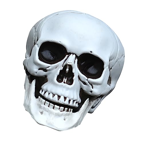 BESTonZON 1 Stück Simulationsschädel Halloween Dekoration Halloween-Dekoration Halloween Prop Ornamente Skelettschädel Halloween-Schädel-Stütze Halloween-Schädel- Plastik Weiß von BESTonZON