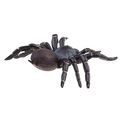 BESTonZON 1 Stück Simulationsspinne Halloween Halloween Toys Gruselige Dekoration Halloween Prank Halloween-Dekorationen Spinnen große gefälschte Spinne Plastik Black von BESTonZON