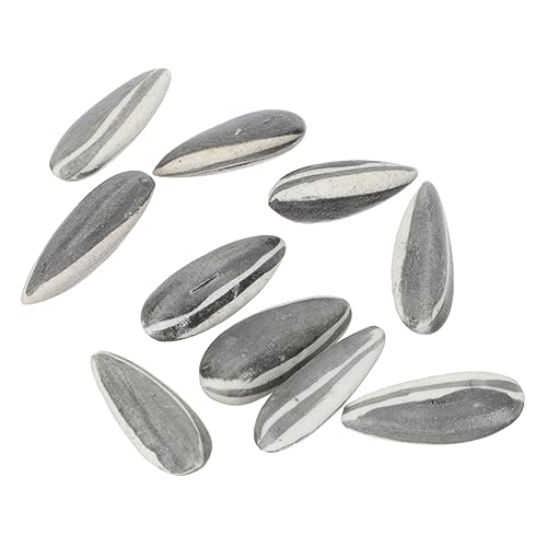 BESTonZON 10 STK Simulierte Melonenkerndekoration Kunstpflanze Mini- Obst Miniaturpflanzen Anlage Haustier Mini-Essen Sukkulenten Mikro-grüns Miniaturen Mini- Keramik BESTonZON 10 STK Simulierte Melonenkerndekoration Kunstpflanze Mini- Obst Miniaturpflanzen Anlage Haustier Mini-Essen Sukkulenten Mikro-grüns Miniaturen Mini- Keramik von BESTonZON