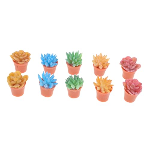 BESTonZON 10er-Pack Künstliche Mini-Bonsai-Pflanzen Landschaftsdekoration Aus Kunststoff Sukkulenten Für Zuhause Schreibtisch Bücherregal Und Küche BESTonZON 10er-Pack Künstliche Mini-Bonsai-Pflanzen Landschaftsdekoration Aus Kunststoff Sukkulenten Für Zuhause Schreibtisch Bücherregal Und Küche von BESTonZON