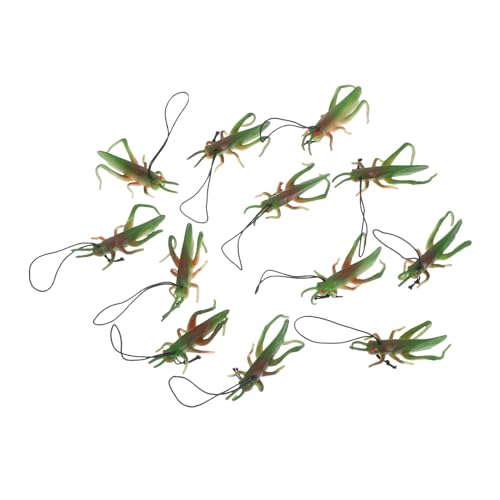 BESTonZON 12 Stück Pädagogisches Gefälschtes Insektenspielzeug Für Kinder, Heuschrecken Aus Kunststoff, Realistische Insektenfiguren Zum Lernen Und Spielen, Für Insekten-partyzubehör, BESTonZON 12 Stück Pädagogisches Gefälschtes Insektenspielzeug Für Kinder, Heuschrecken Aus Kunststoff, Realistische Insektenfiguren Zum Lernen Und Spielen, Für Insekten-partyzubehör, von BESTonZON
