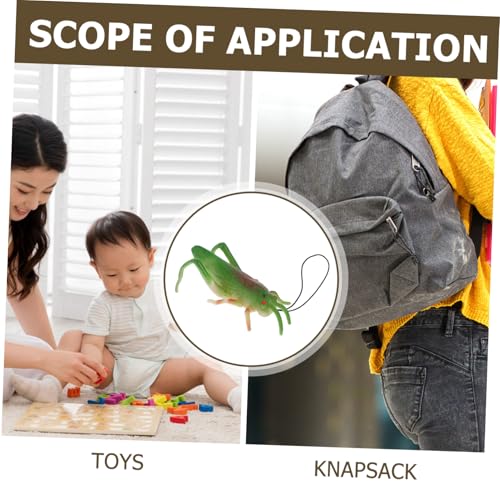 BESTonZON 12 Stück Teiliges Realistische Heuschrecke aus Weichem Gummi Pädagogische Insektenfiguren für Insekten mottopartys Goodie Bag Füller Fördert Kreativität und Spielerisches Lernen von BESTonZON