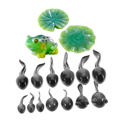 BESTonZON 16Stücke Froschfiguren aus Kunstharz Niedliche Gartendekoration DIY Terrarium Zubehör Kreative Kaulquappen und Froschornamente für Feengärten und Mooslandschaften BESTonZON 16Stücke Froschfiguren aus Kunstharz Niedliche Gartendekoration DIY Terrarium Zubehör Kreative Kaulquappen und Froschornamente für Feengärten und Mooslandschaften von BESTonZON