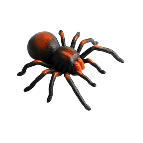 BESTonZON 1Pc Spinne Fernbedienung Spinne Rc Spinne Schwarz von BESTonZON