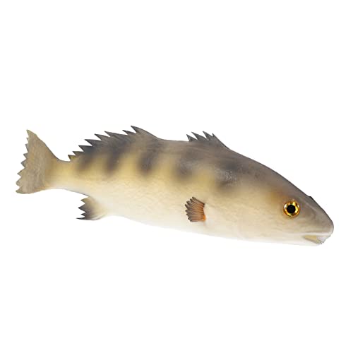 BESTonZON 1Stück Künstliches Fischspielzeug aus PU Material Realistische Dekoration für Pädagogisches Fantasie Sicher und Langlebig für Kreative Spiele BESTonZON 1Stück Künstliches Fischspielzeug aus PU Material Realistische Dekoration für Pädagogisches Fantasie Sicher und Langlebig für Kreative Spiele von BESTonZON