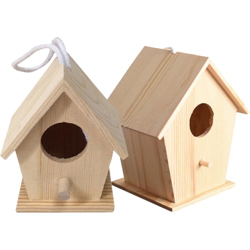 BESTonZON 2 Sätze Holz Puzzle Bausatz Modellspielzeug für Kreatives DIY Lernspielzeug aus Holz für Jungen und Mädchen für Geburtstage und Feste von BESTonZON