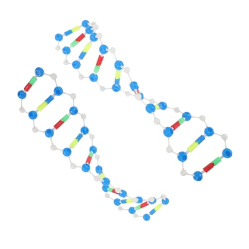 BESTonZON 2 Stück DNA Modellbausatz Doppelhelix Struktur Genetik Lernspielzeug für Biologieunterricht Detaillierte Molekulare Komponenten für Naturwissenschaftliche Experimente und von BESTonZON