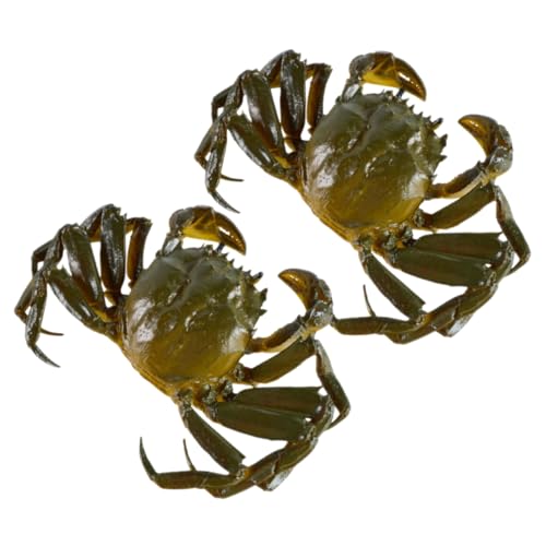 BESTonZON 2 Stück Realistische Krabbenmodelle aus Langlebigem Dekoratives Meeresfrüchte Deko Spielerisches Lernspielzeug für Detailgetreue Simulation für Aquarium und Fotorequisiten BESTonZON 2 Stück Realistische Krabbenmodelle aus Langlebigem Dekoratives Meeresfrüchte Deko Spielerisches Lernspielzeug für Detailgetreue Simulation für Aquarium und Fotorequisiten von BESTonZON