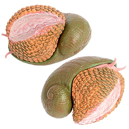 BESTonZON Schneckenfigur Aus Kunststoff – Realistische Simulation – Pädagogisches Kinderspielzeug – 2er-Set von BESTonZON