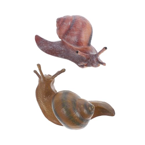 BESTonZON 2 Stück Schneckenmodell kinderspielzeug gartendekoration Schneckenfigur Toy Tierfigur Schnecke Schneckenerkennungsmodell Simulation Tiermodell Plastik von BESTonZON