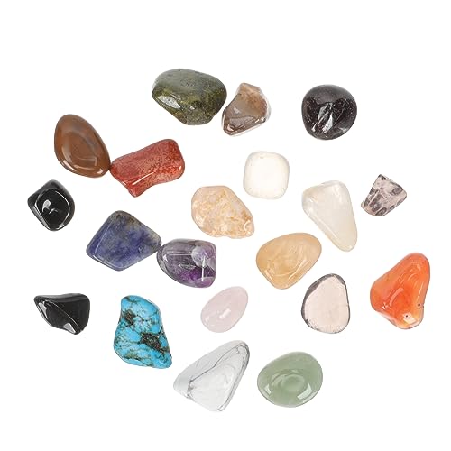 BESTonZON Polierte Steine ​​Set Für Kinder 20 Stück Edelstein Trommelsteine ​​denkwürdige Mineralien S Pädagogisches Geologie Spielzeug Für Kinder von BESTonZON