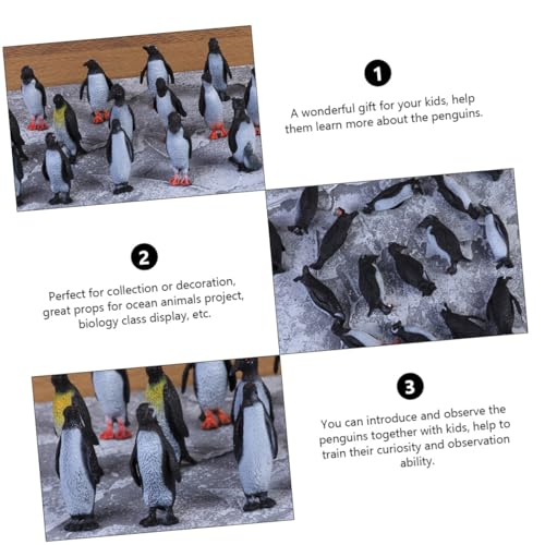 BESTonZON 24 Stück Teiliges Realistisches Pinguin Tiermodell Pädagogisches Meeres Tier Dekorative Figuren für Sammler und Biologieunterricht Lebensechte Deko für Zuhause und Fotografie von BESTonZON