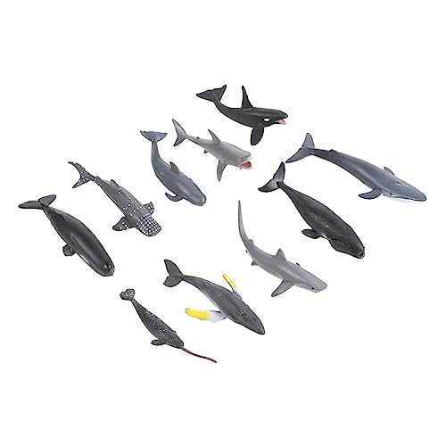 BESTonZON 24Stücke Simulation Meerestierfiguren Lernspielzeug Für Walmodellen Und Seefischmodellen Pädagogisches Für Frühes Lernen Für Wasserspiele Und Dekoration von BESTonZON
