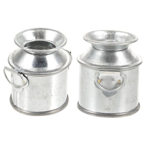 BESTonZON 2St Puppenhaus Blecheimer Machen Sie es Mini-Essen Gefälschte Pflanzen Mini-Sachen Sukkulenten bastelzeug bastelmaterial kleine Vase aus Metall Mini-Hausmodelle Silver von BESTonZON