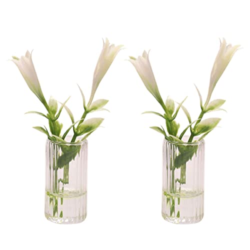 BESTonZON 2st Nachgemachte Pflanzen Gefälscht Miniaturhaus-Desktop- Dollhouse Decor Figuren Miniaturvase Für Kleine Vase Mini-Pflanzen Miniatur Lilie Puppe Weiß Plastik BESTonZON 2st Nachgemachte Pflanzen Gefälscht Miniaturhaus-Desktop- Dollhouse Decor Figuren Miniaturvase Für Kleine Vase Mini-Pflanzen Miniatur Lilie Puppe Weiß Plastik von BESTonZON