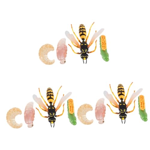 BESTonZON 3 Sets Wespen Wachstumszyklus Figuren Lebenszyklus Der Wespe Spielzeug Lernfiguren Lebenszyklus Spielzeug Lernmodell Spielzeugmodelle Spielzeugdekor Insektenmodell von BESTonZON
