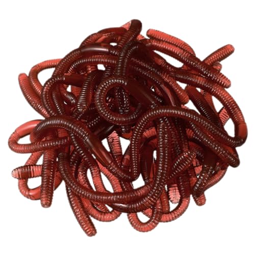 BESTonZON 30st Künstlicher Regenwurm Künstliche Würmer Gefälschte Würmer Gefälschtes Würmermodell Spiel Würmer Requisiten Faux-würmer-Modell Würmer-Modelle Realistische Würmer Plastik BESTonZON 30st Künstlicher Regenwurm Künstliche Würmer Gefälschte Würmer Gefälschtes Würmermodell Spiel Würmer Requisiten Faux-würmer-Modell Würmer-Modelle Realistische Würmer Plastik von BESTonZON