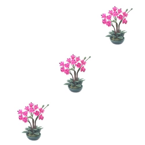BESTonZON 3St Mini-Blumenmodell Dekoration Balkenwaage Mini-Orchideen Mini-Hausschmuck Wohnkultur Anlage Mini-Hausverzierung Mini- -Miniatur- Puppenhaus Pflanze Bonsai schmücken von BESTonZON