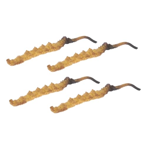 BESTonZON 4 Stück Cordyceps -Modell Arztzubehör Modell der chinesischen Medizin Arztkoffer medizinische Spielzeugartikel Arzt Rollenspiel Requisiten Plastik BESTonZON 4 Stück Cordyceps -Modell Arztzubehör Modell der chinesischen Medizin Arztkoffer medizinische Spielzeugartikel Arzt Rollenspiel Requisiten Plastik von BESTonZON