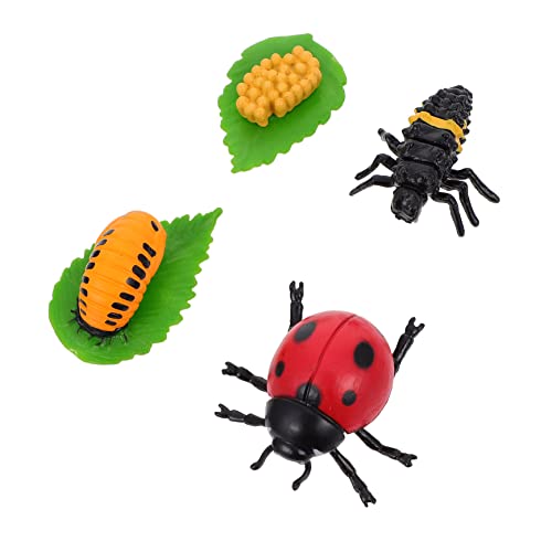 BESTonZON 4 Stück Marienkäfer-wachstumsverzierung Insektenfiguren Wachstumszyklus-Spielzeug-kit Flaum Larve Spielzeug Lebenszyklus des Marienkäfers Marienkäfer-lebenszyklusmodell Plastik von BESTonZON