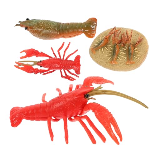 BESTonZON 4 Stück Teiliges Hummer Lebenszyklus Modellset Lernspielzeug Kunststoff Tierfiguren für Frühe Bildung Klassenzimmer Dekoration und Party Zubehör von BESTonZON