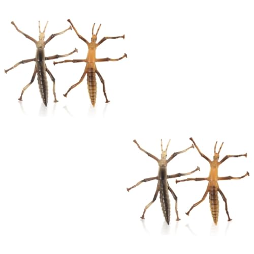 BESTonZON 4 Stück Teiliges Insekten Stabheuschrecken Modell aus Langlebigem Pädagogisches Lernspielzeug zur Naturforschung für Sammler BESTonZON 4 Stück Teiliges Insekten Stabheuschrecken Modell aus Langlebigem Pädagogisches Lernspielzeug zur Naturforschung für Sammler von BESTonZON