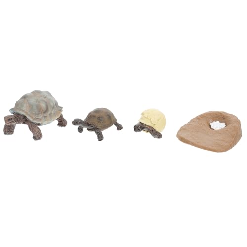 BESTonZON 4 Stück Teiliges Schildkröten wachstumszyklus spielset Realistische PVC Figuren mit Leuchtenden Farben Pädagogisches Modell für Langlebig und Anschaulich zur Zufällige Farbe von BESTonZON