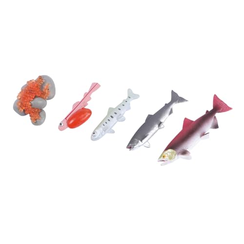 BESTonZON 4 Stück Teiliges Set Simulationsmodell Fisch Wachstumszyklus Lernspielzeug Realistische Aquatische Tierfiguren Kompakt Leicht Tragbar Pädagogisches Fischmodell für Zufällige Farbe BESTonZON 4 Stück Teiliges Set Simulationsmodell Fisch Wachstumszyklus Lernspielzeug Realistische Aquatische Tierfiguren Kompakt Leicht Tragbar Pädagogisches Fischmodell für Zufällige Farbe von BESTonZON