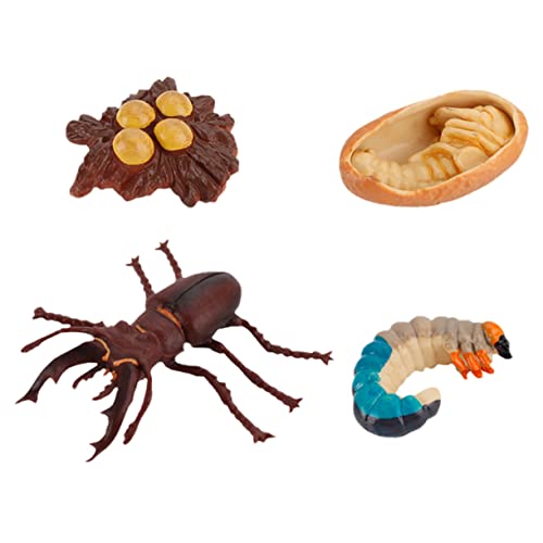 BESTonZON 4 Stück Wachstumszyklus kinderspielzeug für Educational Toys spielsachen Toys Kid Toys Evolutionsmodell Wachstumsmodell Dekoration Abs Coffee BESTonZON 4 Stück Wachstumszyklus kinderspielzeug für Educational Toys spielsachen Toys Kid Toys Evolutionsmodell Wachstumsmodell Dekoration Abs Coffee von BESTonZON